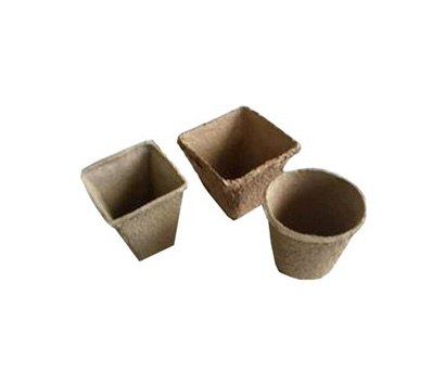環(huán)保紙托(2)